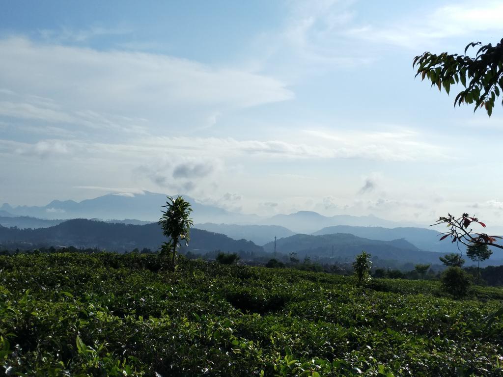 Tamie Bumi Ciherang Puncak