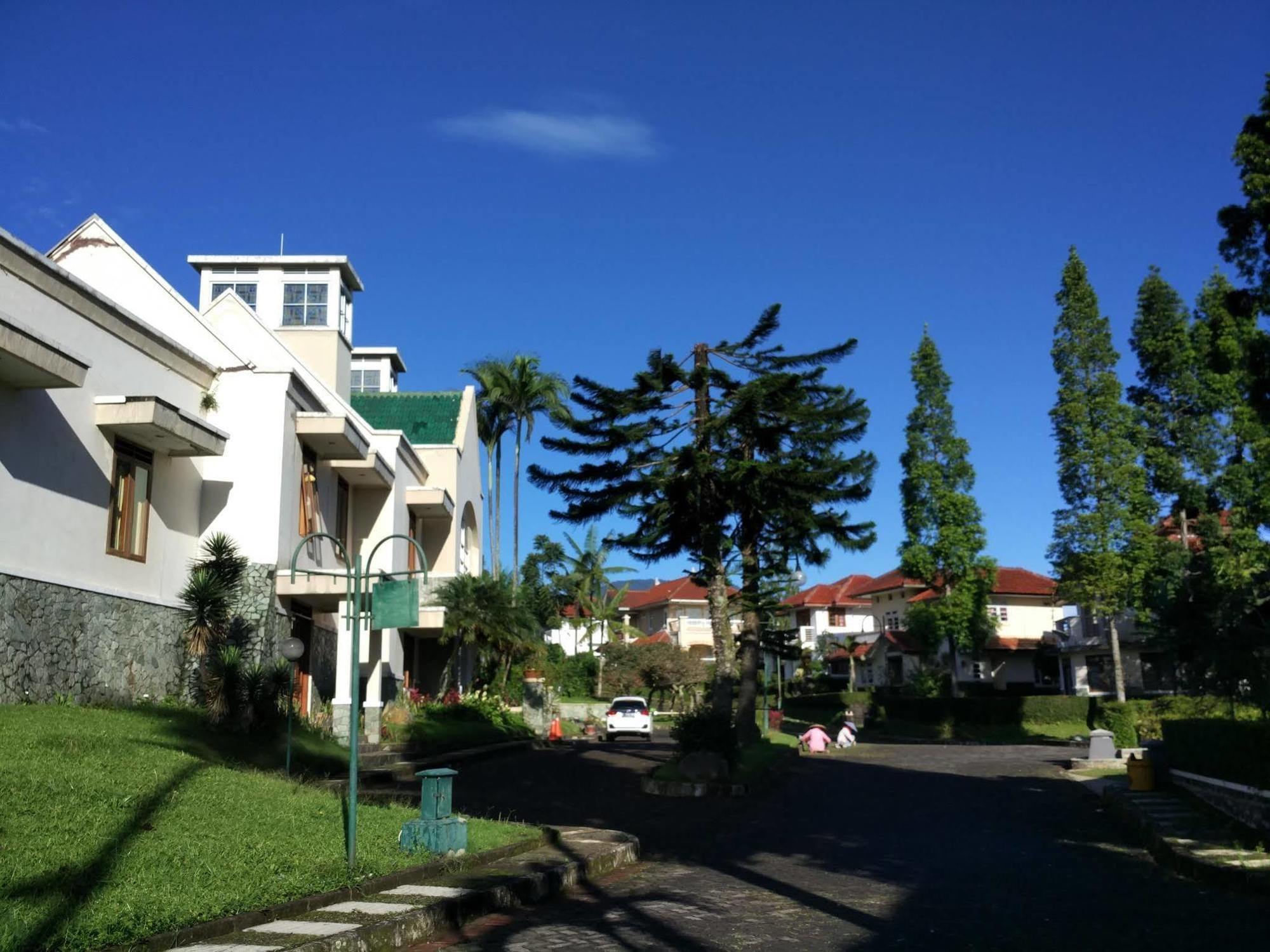 Tamie Bumi Ciherang * Puncak